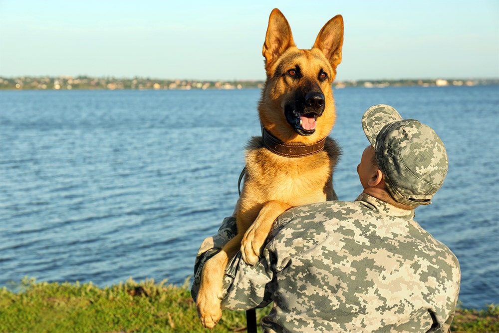 Patriot Mobility Inc. - Services Dogs: Helping Veterans Since the 1920's